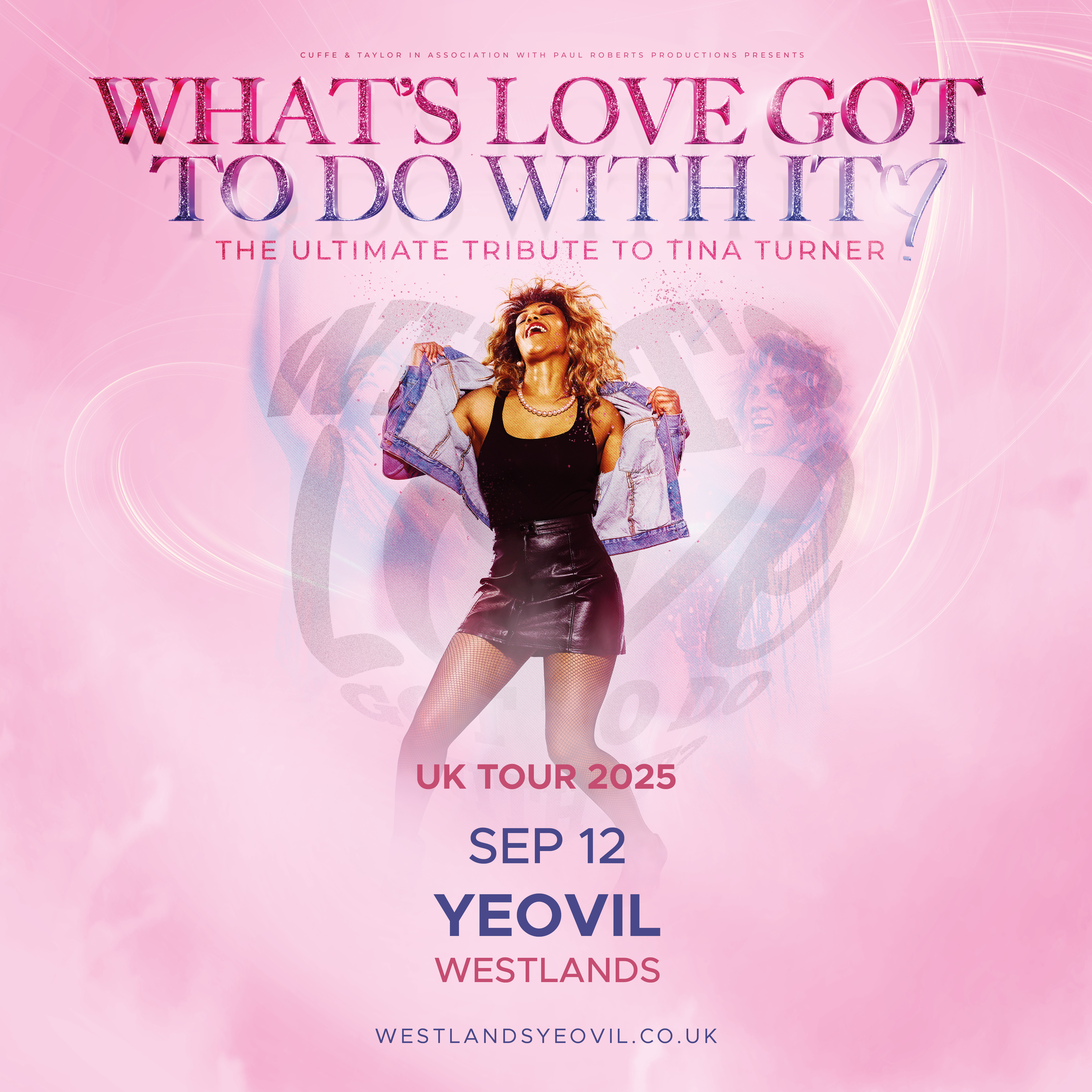 What's Love Got To Do With It 2025