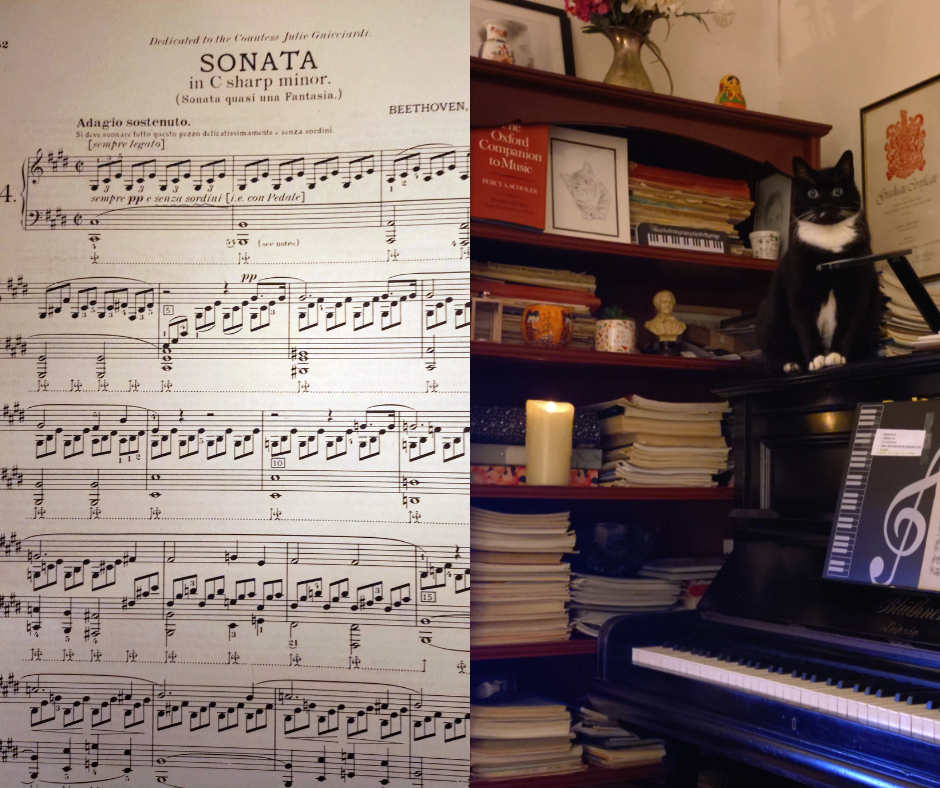 Sheet music and a black and white cat sitting on a piano