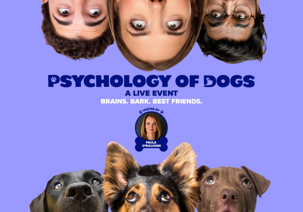 The Psychology Of Dogs