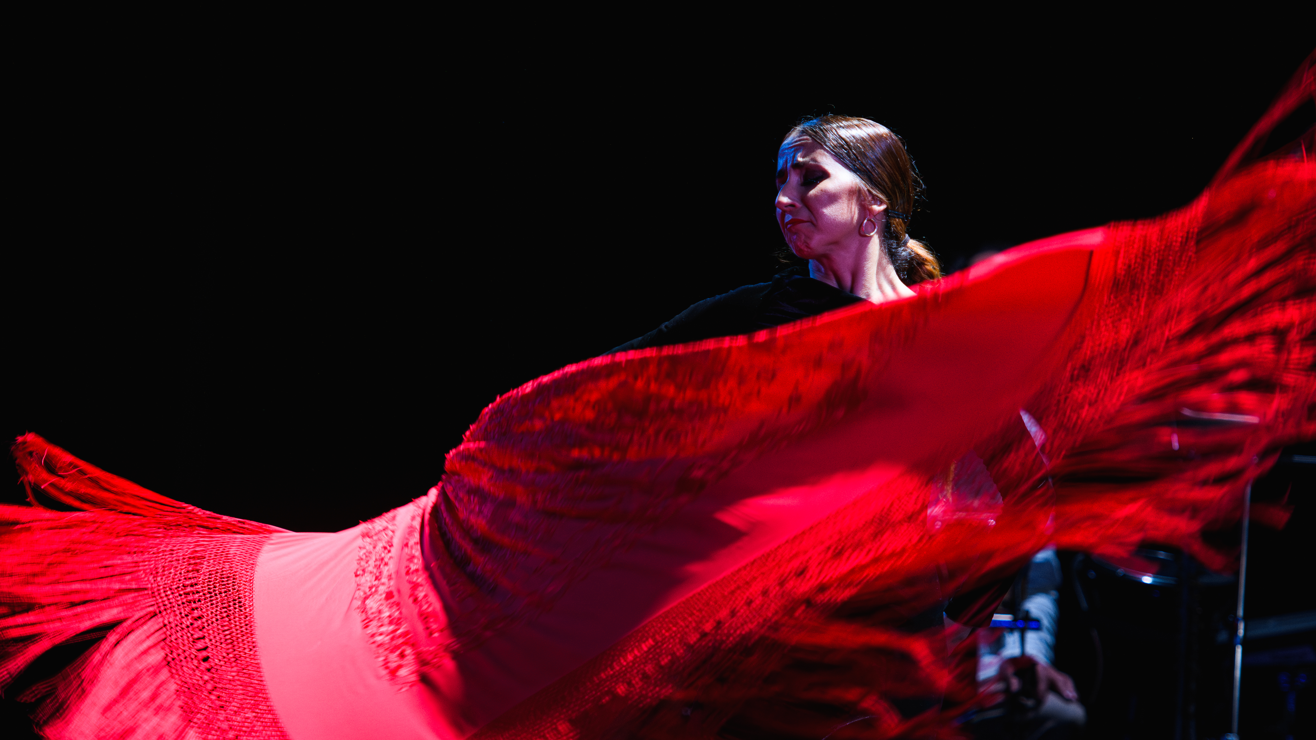 Go on a mesmersing and powerful journey into the roots of traditional Flamenco.