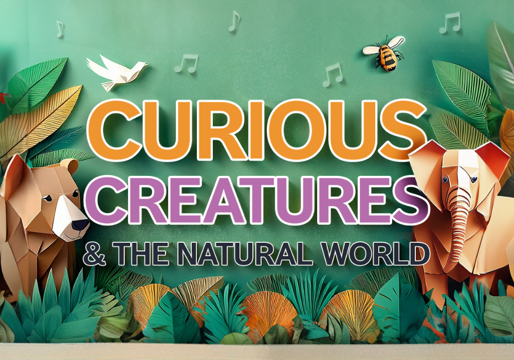 BSO On Your Doorstep: Curious Creatures & The Natural World