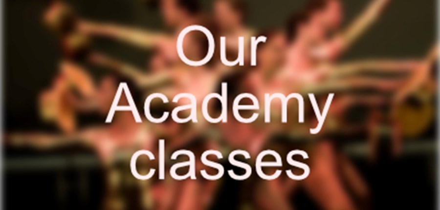 Octagon Academy: Weekly Classes